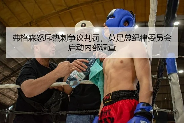 弗格森怒斥热刺争议判罚，英足总纪律委员会启动内部调查